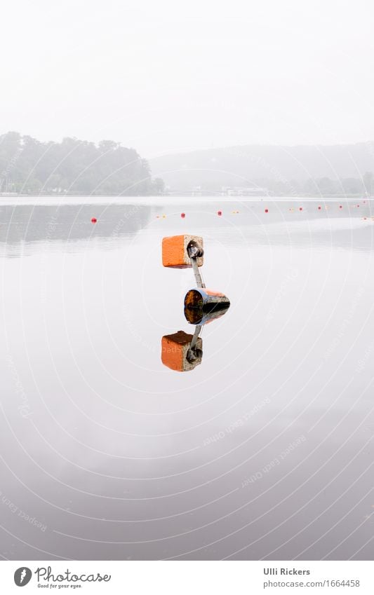 Spiegelung Rudern Natur Sommer Wald Hügel See Fluss Stein Schwimmen & Baden Im Wasser treiben orange Farbfoto Außenaufnahme Textfreiraum oben Textfreiraum unten