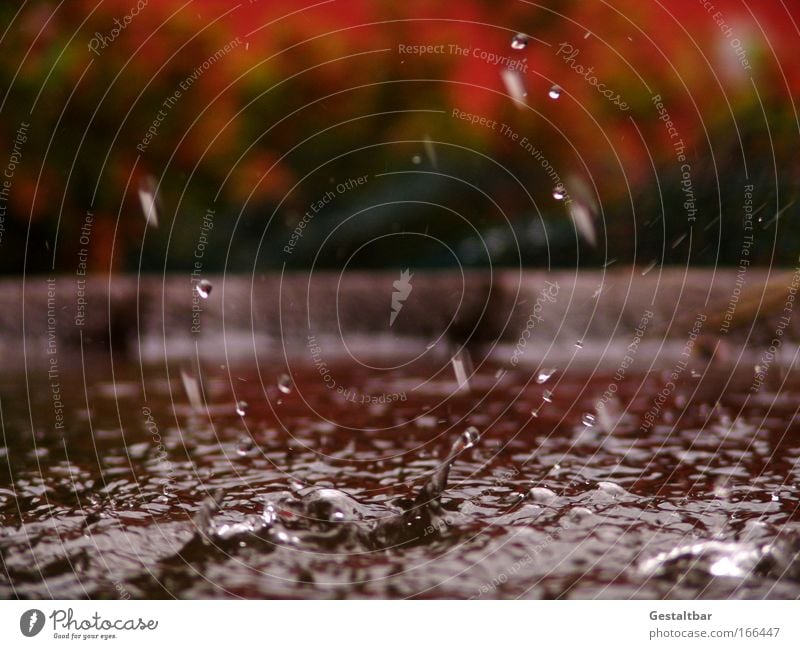 Wasserspiel Wassertropfen Tropfen braun rot Traurigkeit ästhetisch Bewegung einzigartig rein Oberflächenstruktur Farbfoto Außenaufnahme Detailaufnahme