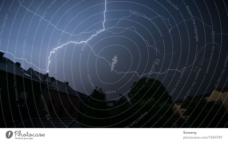 Es rumpelt... Umwelt Natur Urelemente Himmel Gewitterwolken Nachthimmel Sommer Wetter schlechtes Wetter Unwetter Regen Blitze Dorf Kleinstadt Haus Garten