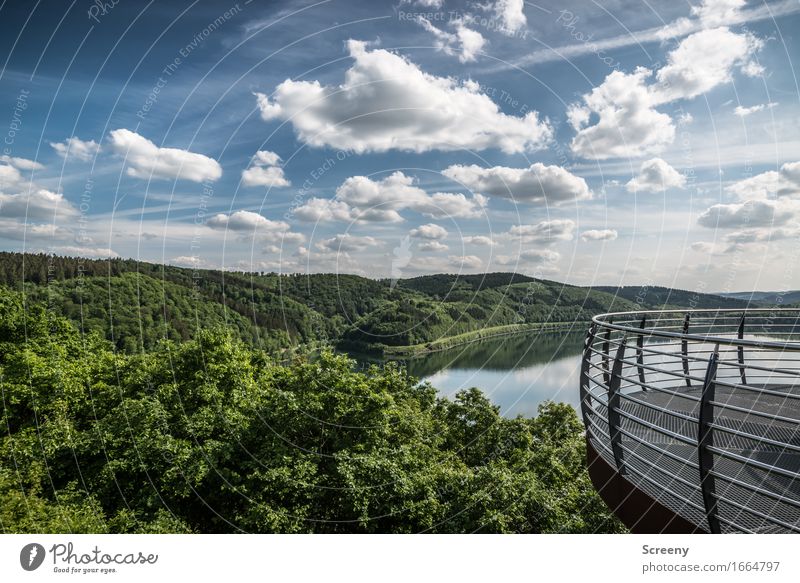 Aussichtsvoll Ferien & Urlaub & Reisen Tourismus Ausflug Sommer Natur Landschaft Wasser Himmel Wolken Schönes Wetter Baum Wald Hügel Berge u. Gebirge See