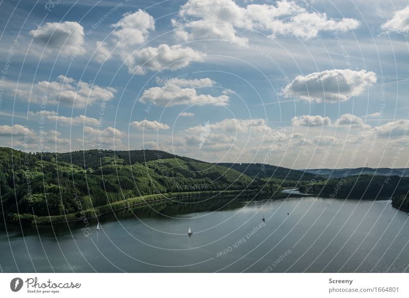 Biggesee Natur Landschaft Wasser Himmel Wolken Frühling Sommer Schönes Wetter Hügel Seeufer Sauerland Binnenschifffahrt Bootsfahrt Sportboot Jacht Segelboot