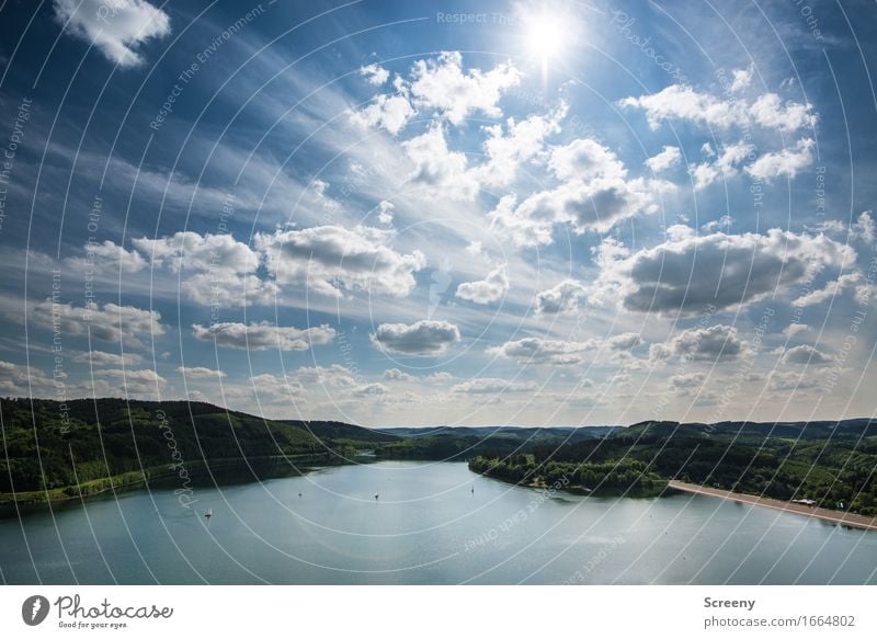 Sommersauerland Ferien & Urlaub & Reisen Tourismus Ausflug Natur Landschaft Pflanze Himmel Wolken Sonne Sonnenlicht Schönes Wetter Wald Hügel Berge u. Gebirge