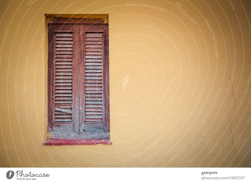 Fenster zu Stadt Haus Mauer Wand Fassade braun gelb Farbe Nostalgie Verfall Vergangenheit Vergänglichkeit geschlossen Fensterladen Farbfoto Außenaufnahme