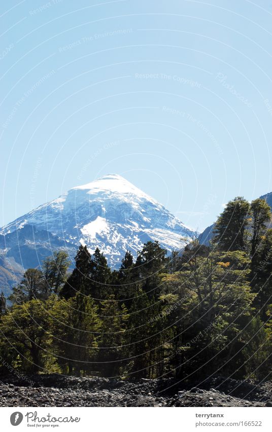 Vulano Lanin Patagonien Argentinien Farbfoto Außenaufnahme Menschenleer Morgen Starke Tiefenschärfe Totale Natur Landschaft Himmel Wolkenloser Himmel Herbst