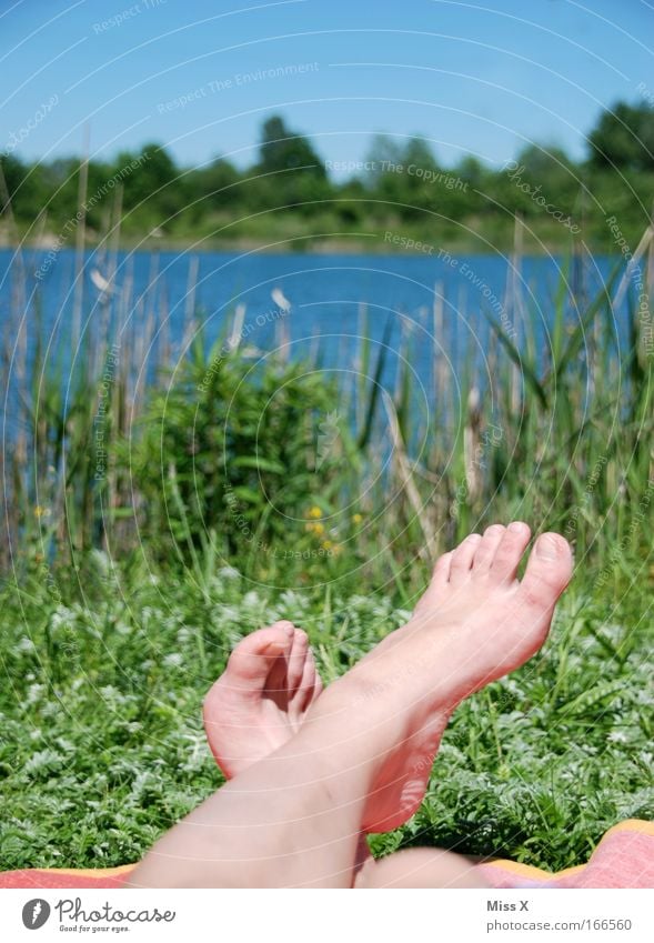 am See Farbfoto Außenaufnahme Textfreiraum oben Sonnenlicht Erholung ruhig Sommer Sonnenbad Insel Beine Fuß Landschaft Wasser Schönes Wetter Park Wiese Seeufer