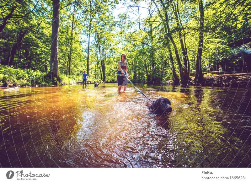 Gassi im Sommer Ausflug Abenteuer Sonne wandern Mensch feminin Junge Frau Jugendliche Umwelt Natur Landschaft Urelemente Wasser Sonnenlicht Schönes Wetter Wald