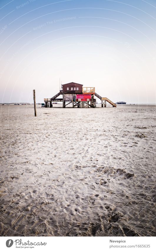 stilt house at the beach II Sonne Strand Meer Haus Sand Nordsee Bauwerk Architektur Holz blau braun rot schwarz weiß Pfahlhaus heilig St. Peter-Ording Schleswig