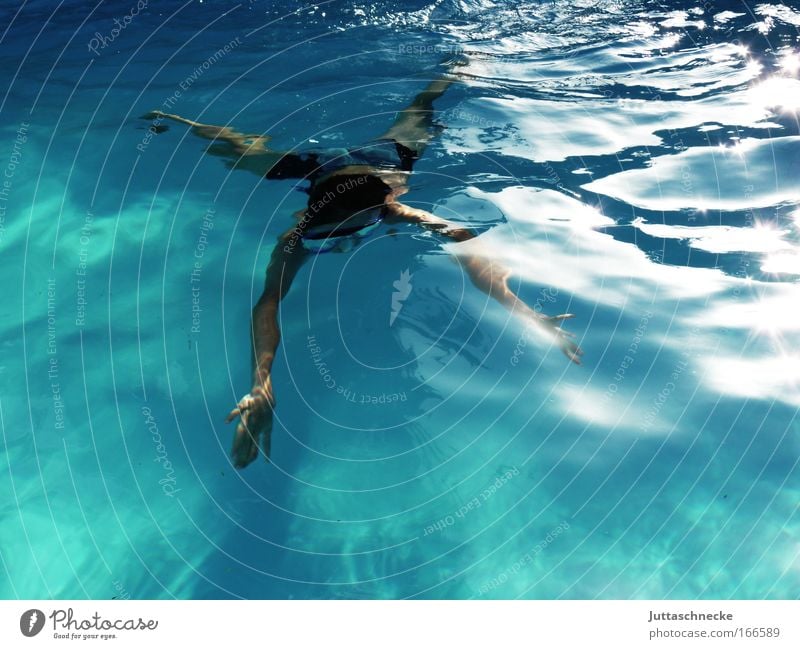 Evolution Farbfoto Außenaufnahme Unterwasseraufnahme Tag Vogelperspektive Ganzkörperaufnahme harmonisch Schwimmen & Baden Sommerurlaub Wassersport tauchen