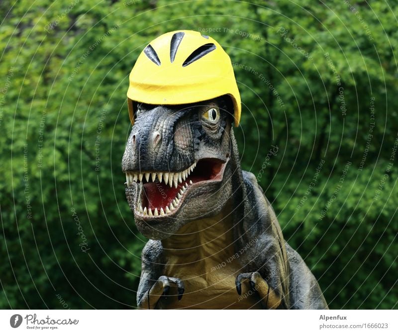 Nur mit Helm ! Urwald Tier Tyrannosaurus Rex 1 beobachten Fressen Aggression bedrohlich lustig Sicherheit Angst Abenteuer Fahradhelm Gebiss T-Rex Dinosaurier