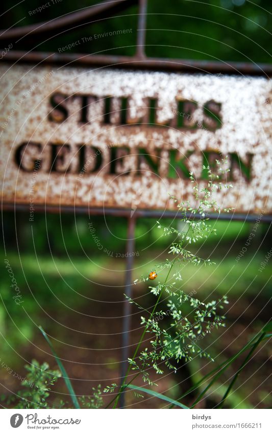 wichtige Lebenszeit Trauerfeier Beerdigung Sommer Gras Park Friedhof Tür Marienkäfer 1 Tier Metall Rost Schriftzeichen Schilder & Markierungen Blühend