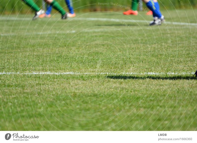 Die Gräser, die die Welt bedeuten I Freizeit & Hobby Sport Ballsport Sportler Sportmannschaft Sportveranstaltung Fußball Fußballplatz Mensch Beine 4