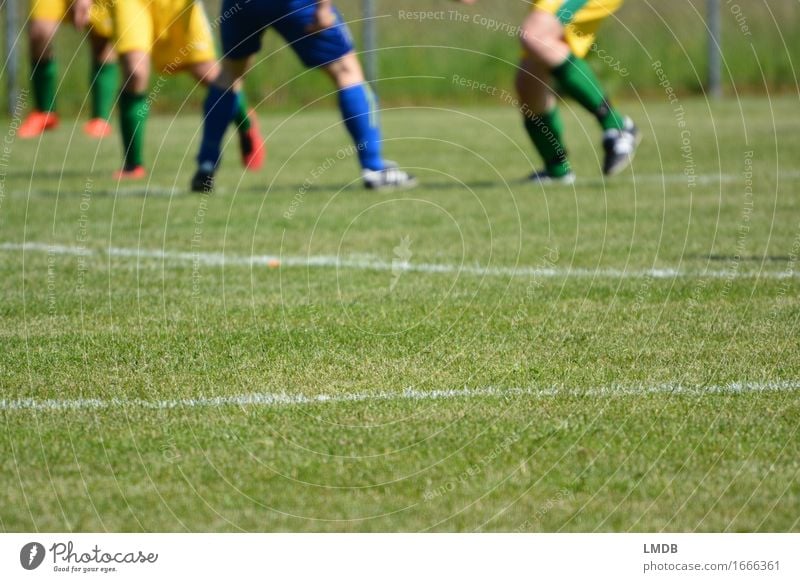 Die Gräser, die die Welt bedeuten II Freizeit & Hobby Sport Ballsport Sportler Sportmannschaft Fußball Sportstätten Sportveranstaltung Fußballplatz Mensch