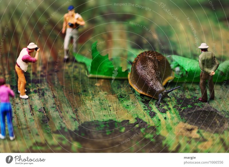 Miniwelten - Besuch im Zoo II Tourismus Ausflug Abenteuer Safari Expedition maskulin feminin Frau Erwachsene Mann 4 Mensch Blatt Schnecke 1 Tier braun