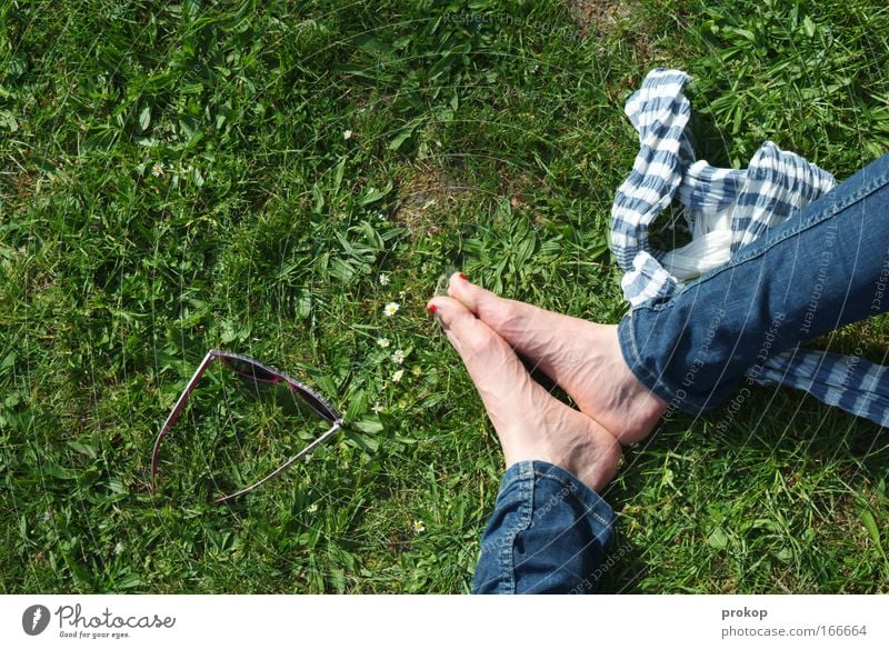 Tag im Pak Farbfoto Außenaufnahme Textfreiraum links Schatten Sonnenlicht Vogelperspektive Beine Fuß Umwelt Natur Pflanze Wiese Sonnenbrille Schal sitzen grün