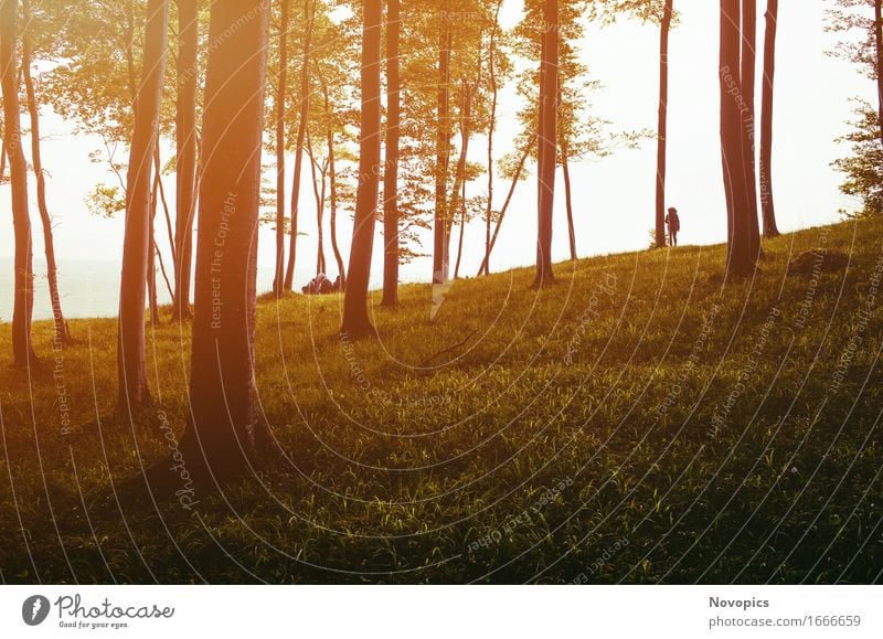 Bohemian life - Rügen, Mecklenburg-Vorpommern, Germany Leben Mensch Menschengruppe 18-30 Jahre Jugendliche Erwachsene Natur Landschaft Pflanze Baum Wiese Wald