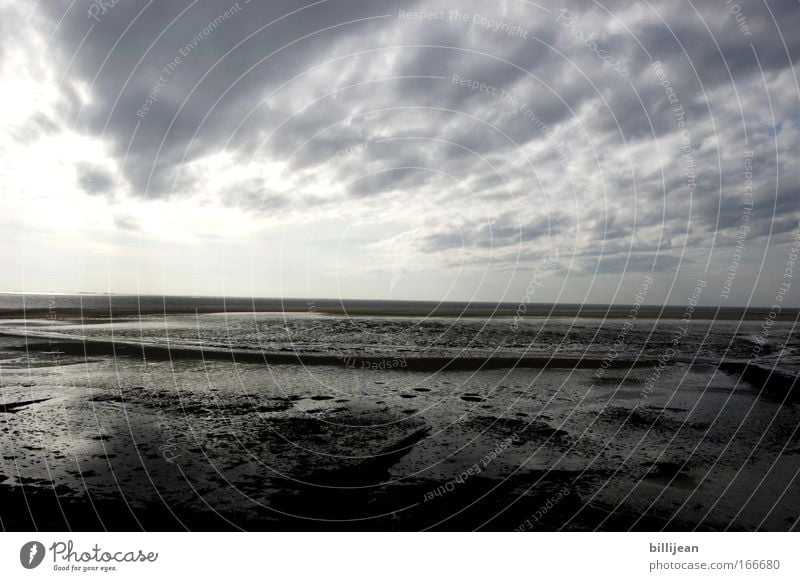 Nordseehorizont Farbfoto Gedeckte Farben Außenaufnahme Menschenleer Textfreiraum Mitte Morgen Kontrast Weitwinkel Umwelt Natur Landschaft Sand Luft Wasser