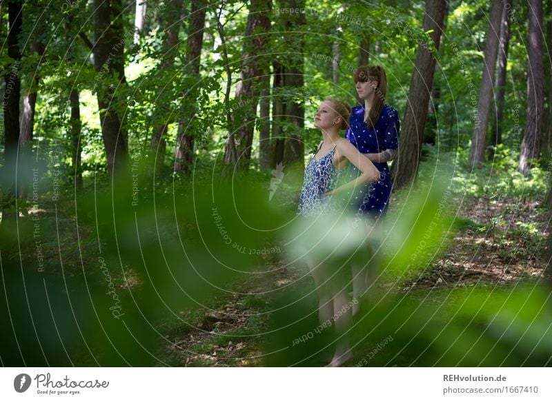 im wald Mensch feminin Junge Frau Jugendliche 2 18-30 Jahre Erwachsene Umwelt Natur Pflanze Baum Blatt Wald Kleid beobachten Blick stehen blond trendy natürlich