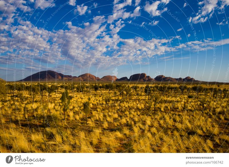 Kata Tjuta Farbfoto Außenaufnahme Menschenleer Textfreiraum links Textfreiraum rechts Textfreiraum oben Textfreiraum unten Textfreiraum Mitte Tag