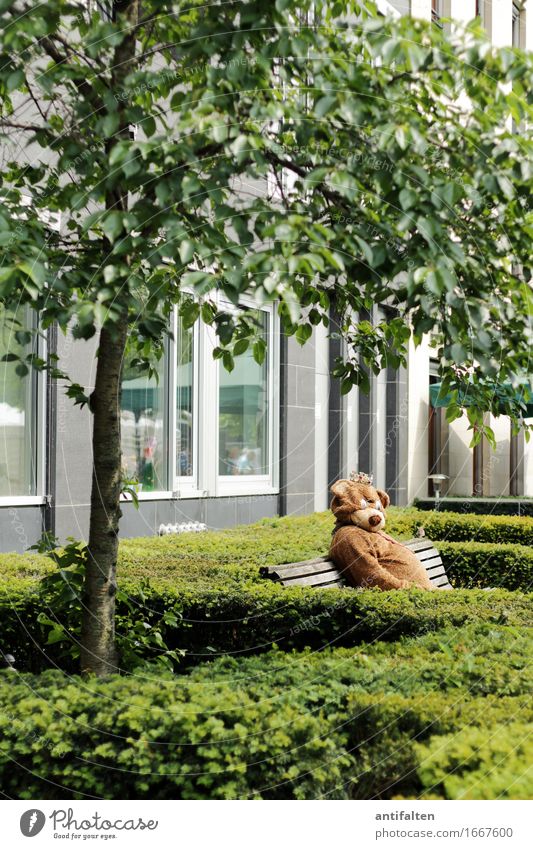 Probier's mal mit Gemütlichkeit Lifestyle Beruf Schausteller Mensch maskulin Körper 1 Natur Sommer Schönes Wetter Baum Sträucher Garten Berlin Park Parkbank