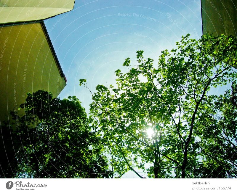 Friedenau X Hinterhof Hinterhalt Rad hinten Stadthaus Haus Gebäude Mauer Brandmauer Mieter Vermieter Himmel Wolken schleierwolken Cirrus Sommer grün Baum Blatt