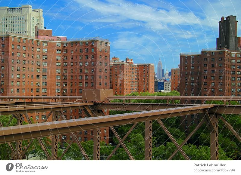 Durchblick Tourismus Sightseeing Städtereise Sommer Häusliches Leben Wohnung Haus Baustelle Umwelt Himmel Wolken Schönes Wetter Baum New York City Manhattan USA