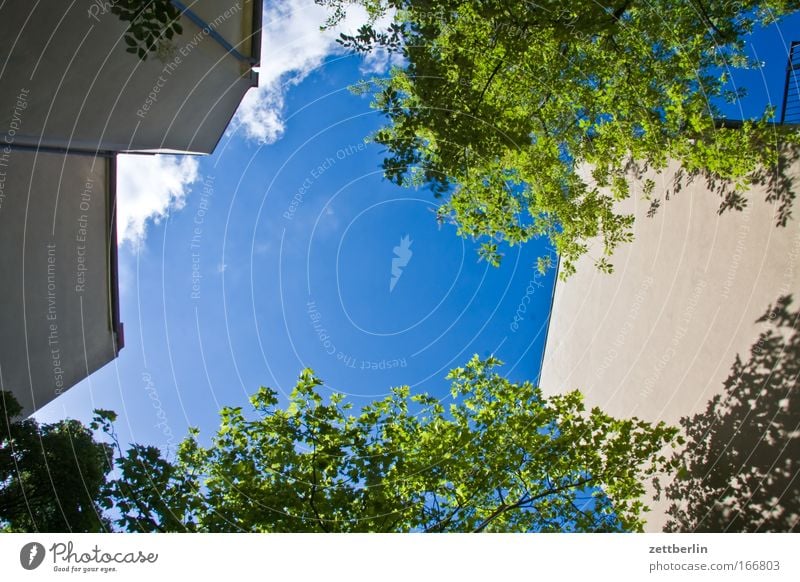 Wiederholung Hinterhof Hinterhalt Rad hinten Stadthaus Haus Gebäude Mauer Brandmauer Mieter Vermieter Himmel Wolken schleierwolken Cirrus Sommer grün Baum Blatt