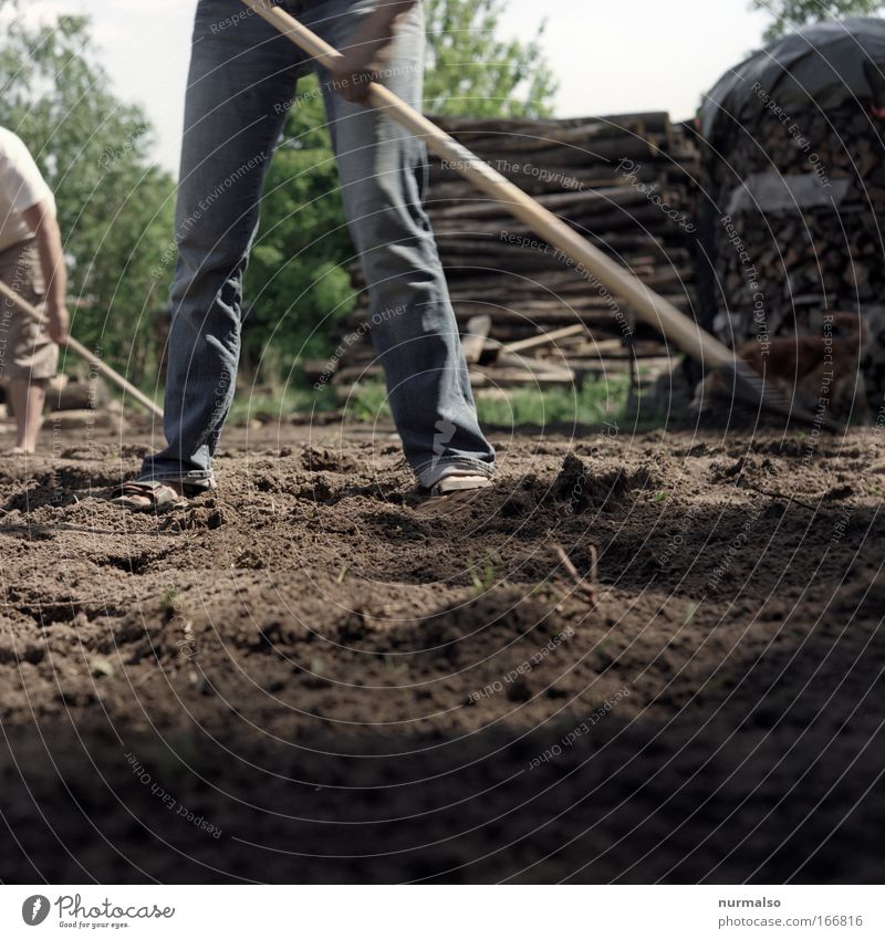 Ackerbau Farbfoto Tag Froschperspektive Gärtner Landwirtschaft Forstwirtschaft Harke Hacke Mensch Arme Hand Beine Fuß Natur Landschaft Tier Erde Garten Park