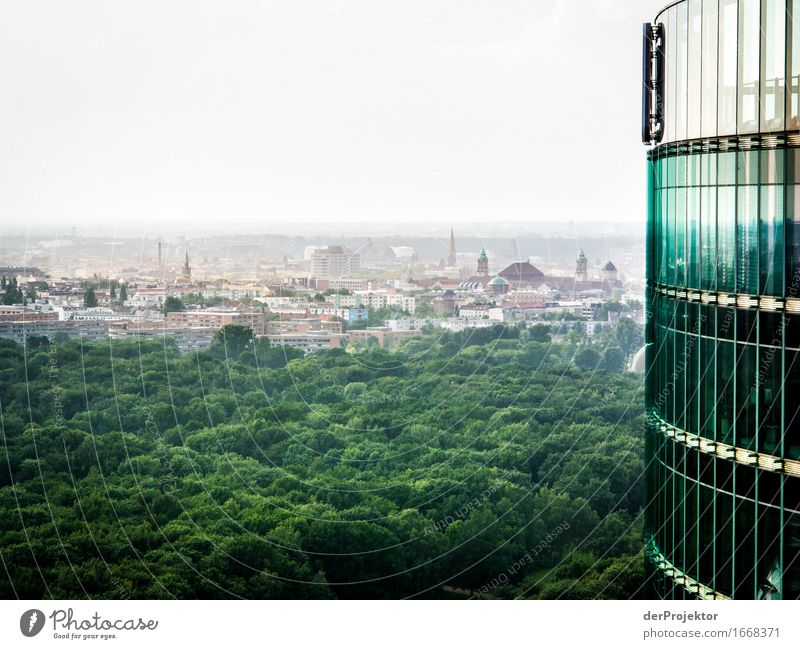 Grünes Berlin Ferien & Urlaub & Reisen Tourismus Ausflug Ferne Freiheit Sightseeing Städtereise Sommer Schönes Wetter schlechtes Wetter Park Wald Hauptstadt