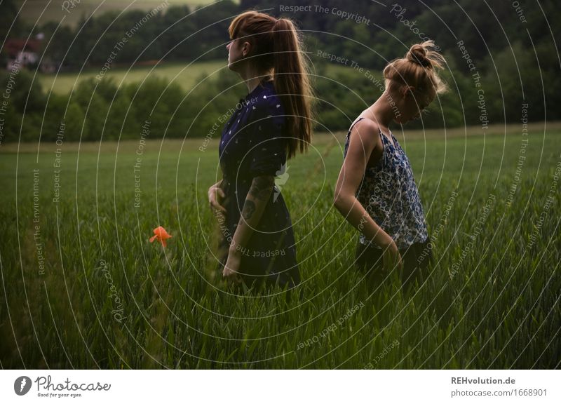 sidecut & undercut Mensch feminin Junge Frau Jugendliche Erwachsene 2 18-30 Jahre Umwelt Natur Landschaft Sommer Unwetter Wind Feld Kleid Tattoo brünett blond