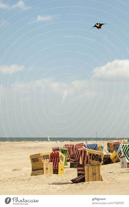 strandaufsicht Farbfoto Außenaufnahme Textfreiraum Mitte Tag Freude Freizeit & Hobby Ferien & Urlaub & Reisen Tourismus Ausflug Sommer Sommerurlaub Sonne