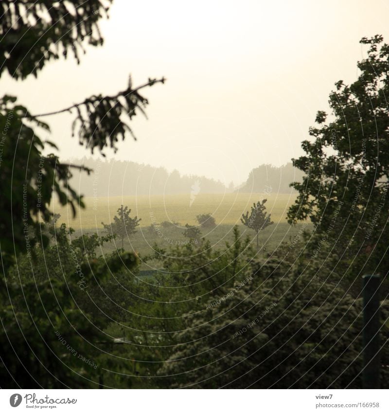 Regenwetter Farbfoto Gedeckte Farben Außenaufnahme Menschenleer Textfreiraum oben Tag Dämmerung Zentralperspektive Natur Landschaft Wasser Wassertropfen Himmel