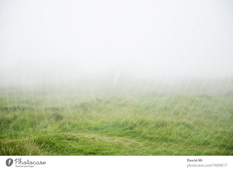 Nebel zieht auf Ferien & Urlaub & Reisen Abenteuer Ferne Umwelt Natur Landschaft Frühling Herbst Klimawandel Wetter schlechtes Wetter Unwetter Wiese weiß