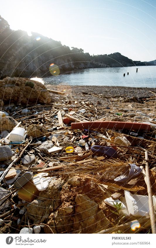 Human waste Farbfoto Außenaufnahme Textfreiraum rechts Textfreiraum oben Morgen Sonnenlicht Gegenlicht Weitwinkel Umwelt Natur Klima Küste Strand Meer