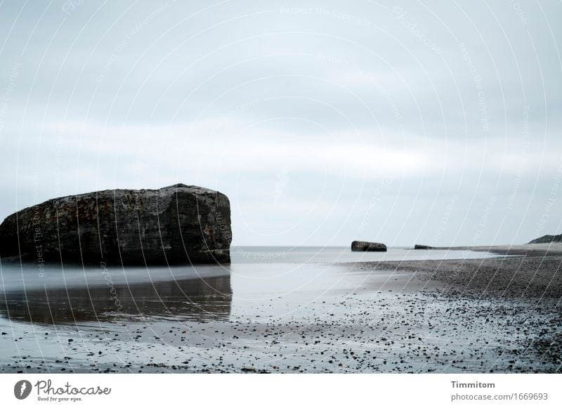 Reste. Umwelt Landschaft Urelemente Sand Wasser Himmel Wolken Frühling Sommer Schönes Wetter Küste Nordsee Dänemark Bunker Stranddüne Stein Beton blau grau