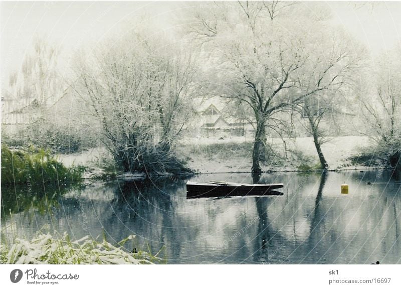 Winter am See Baum Wasserfahrzeug grün ruhig kalt Schnee Idylle Kahn