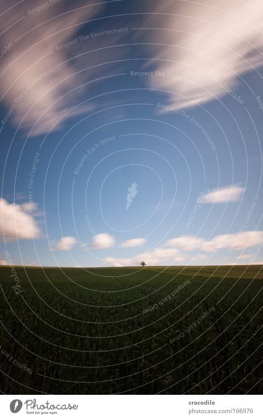 wolkenfetzen Farbfoto Außenaufnahme Menschenleer Textfreiraum oben Textfreiraum unten Textfreiraum Mitte Morgen Schatten Kontrast Bewegungsunschärfe