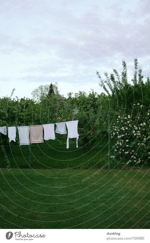 frische Wäsche Farbfoto Außenaufnahme Umwelt Landschaft Himmel Garten Wiese T-Shirt Hemd Duft hell Sauberkeit weiß Reinlichkeit Reinheit Gelassenheit ruhig