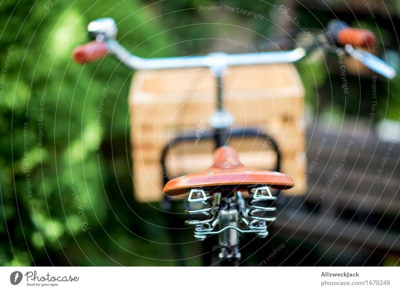 Hollandrad-Porn 3 Fahrradfahren ästhetisch trendy retro grün schwarz Mobilität nachhaltig Güterverkehr & Logistik Transportfahrzeug Fahrradporn Farbfoto