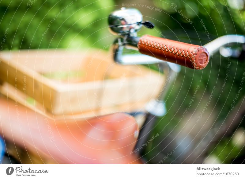 Hollandrad-Porn 4 Fahrradfahren ästhetisch trendy retro grün schwarz Reichtum Mobilität nachhaltig Güterverkehr & Logistik Transportfahrzeug Griff