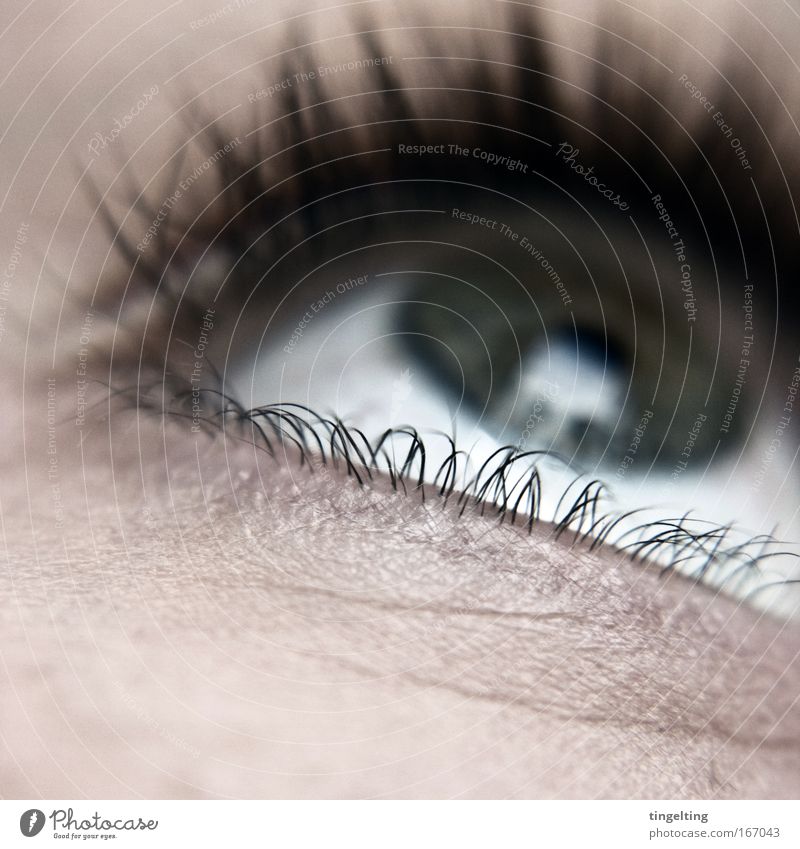 klimper-wimper Farbfoto Gedeckte Farben Detailaufnahme Makroaufnahme Schwache Tiefenschärfe Blick nach oben feminin Auge Denken Pupille Wimpern Haut weiß