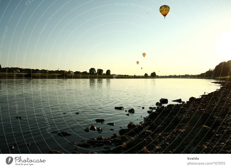 Wegfliegen Farbfoto Außenaufnahme Menschenleer Abend Zentralperspektive Erholung ruhig Ausflug Freiheit Sommer Umwelt Natur Landschaft Wasser Horizont