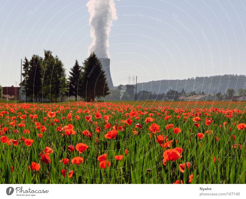 Umweltkontraste Farbfoto mehrfarbig Außenaufnahme Menschenleer Textfreiraum oben Tag Kontrast Zentralperspektive Panorama (Aussicht) Energiewirtschaft