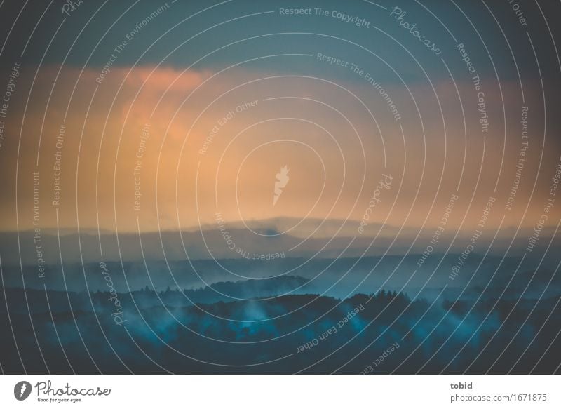 Nach dem Unwetter Natur Landschaft Pflanze Himmel Wolken Horizont Sonnenaufgang Sonnenuntergang Wetter Schönes Wetter schlechtes Wetter Nebel Wald Hügel
