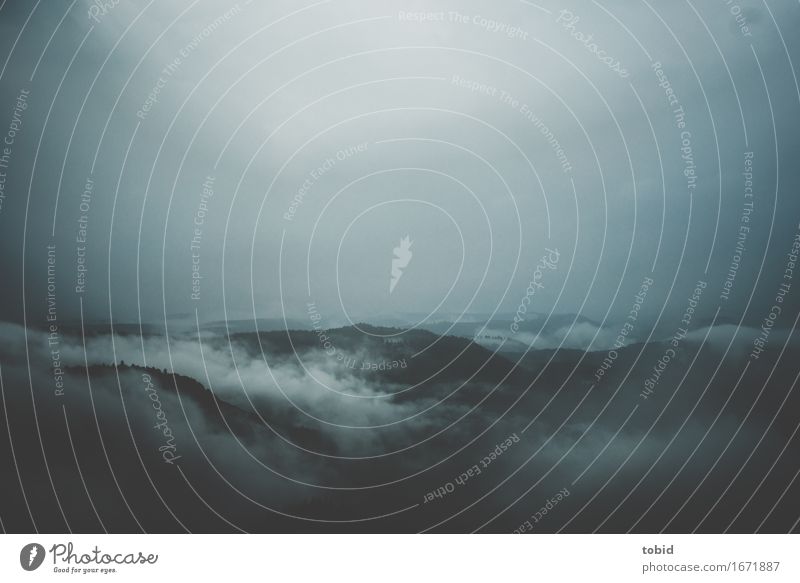 Trist Natur Landschaft Pflanze Himmel Wolken Horizont schlechtes Wetter Nebel Wald Hügel bedrohlich dunkel Ferne Einsamkeit einzigartig Endzeitstimmung kalt