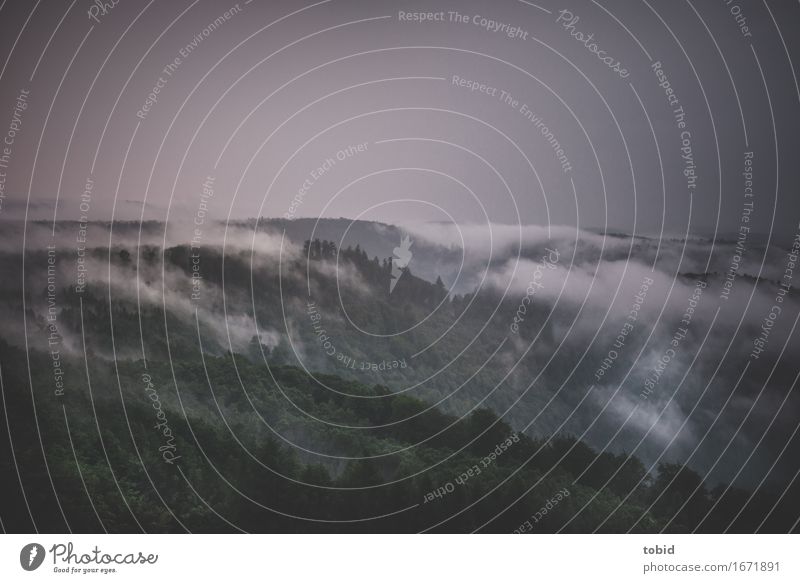 Regenwetter Natur Landschaft Pflanze Urelemente Himmel Wolken Horizont schlechtes Wetter Baum Wald Hügel bedrohlich dunkel Ferne Einsamkeit einzigartig