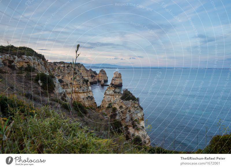 Algarve Umwelt Natur Landschaft Himmel Frühling blau braun grau grün Ferien & Urlaub & Reisen Meer Klippe Wasser Portugal Gras Stimmung Farbfoto Außenaufnahme