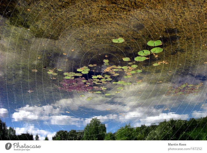 up is the new down Natur Landschaft Wasser Himmel Wolken See Wasseroberfläche Spiegel frisch nass oben unten geheimnisvoll Kreativität Perspektive Umweltschutz