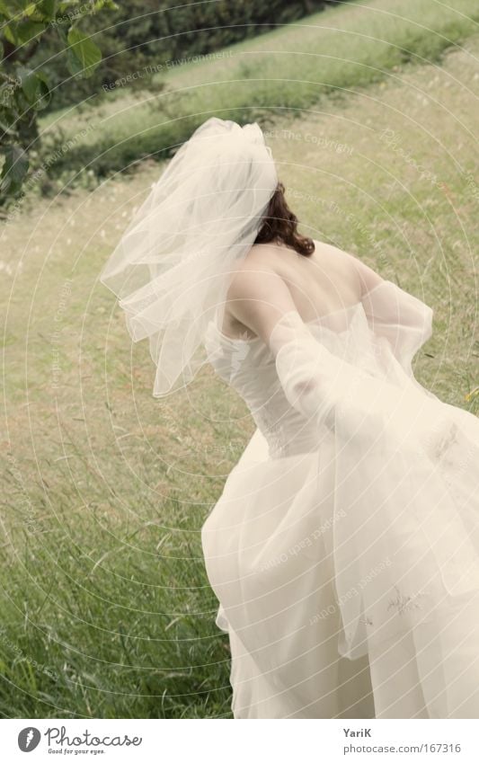 windy wedding Farbfoto Außenaufnahme Tag Oberkörper Ganzkörperaufnahme Rückansicht Halbprofil Blick nach vorn Blick nach unten elegant Glück schön