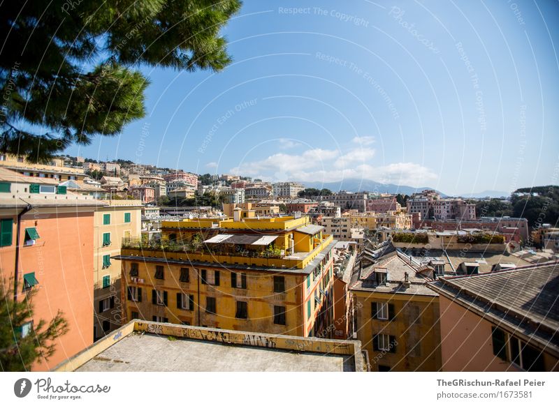 Genua Streets III Stadt Stadtzentrum Altstadt Haus Platz blau braun gold grau grün schwarz Italien Architektur Aussicht Baum Himmel Wolken Farbfoto