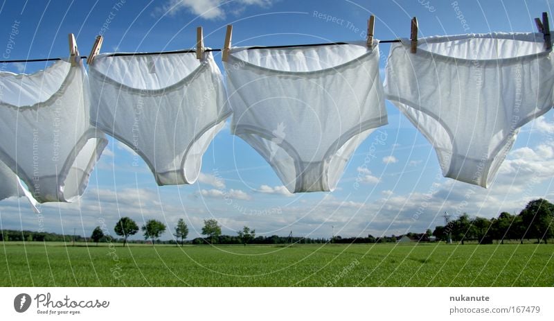 Waschtag auf dem Lande Farbfoto Außenaufnahme Menschenleer Tag Sonnenlicht Umwelt Natur Landschaft Himmel Wolken Sommer Schönes Wetter Baum Gras Wiese Feld